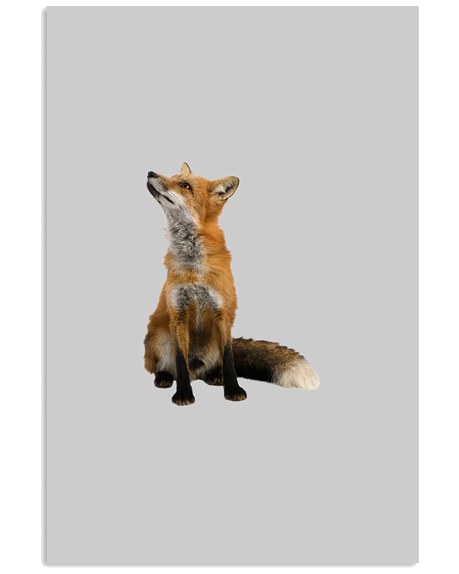 Picture of Beautiful Fox SportsGrey